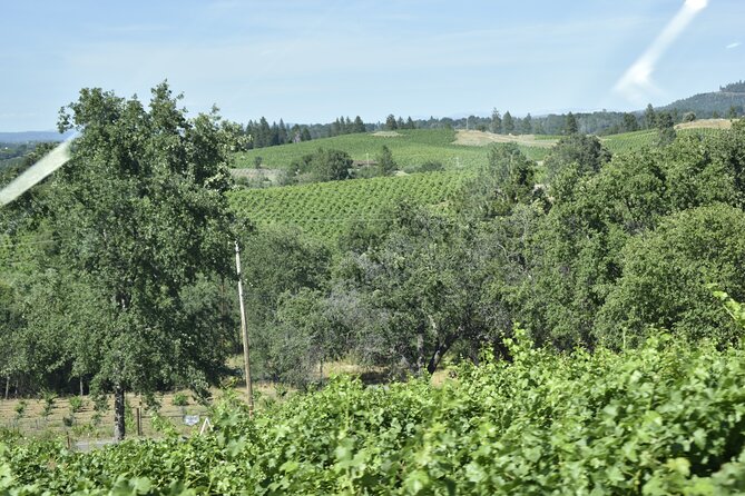 Sonoma and Napa Wine Tour Private Tours 8 to 10 Hours Max 14 Pax - Accessibility and Additional Details