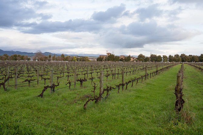 Sonoma Coast Cheese, Honey, Oysters and Wine Private Tour - Exploring Marins Cheese Destinations