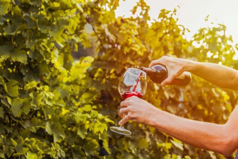Sonoma County: Tasting Pass (Choose 1, 2, or 90 Days) - Experience and Benefits