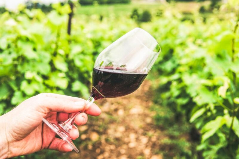 Sonoma County: Tasting Pass (Choose 1, 2, or 90 Days) - Participating Venues