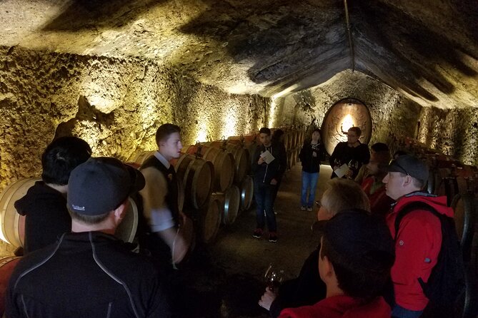 Sonoma County Wine Segway Tour - Additional Tour Information