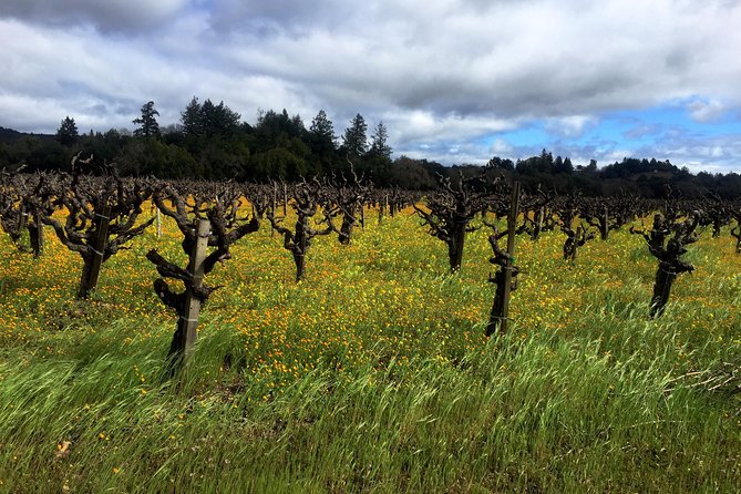 Sonoma & Healdsburg Wine Tours - Private Transportation Inclusions