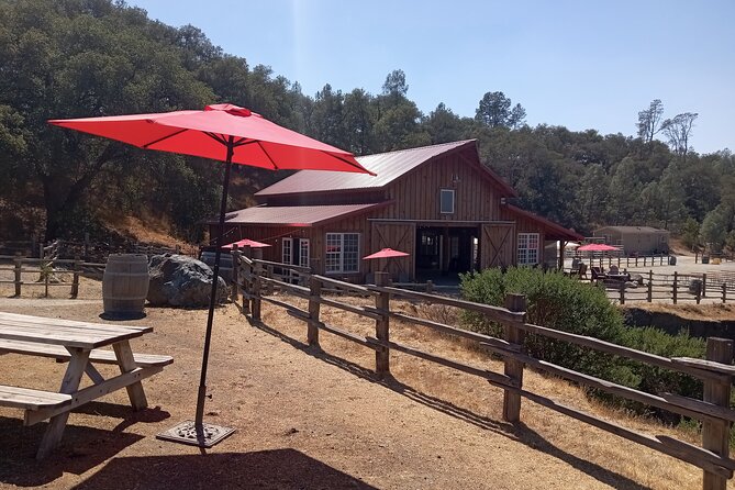 Sonoma Horseback-Riding Tour - Age and Accessibility Restrictions