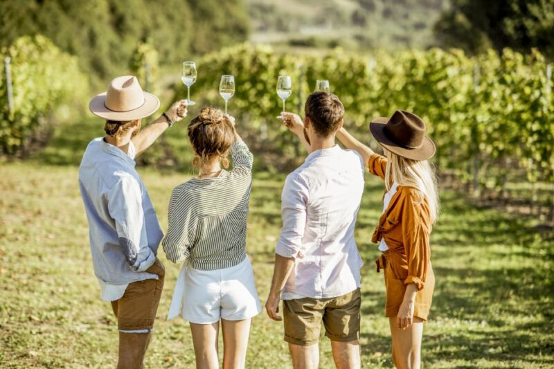 Sonoma Valley: Guided Winery Tour With Picnic Lunch - Itinerary and Experience