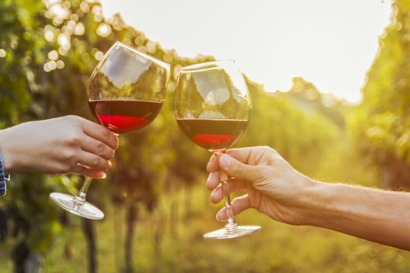 Sonoma Valley: Guided Winery Tour With Picnic Lunch - Tour Guide
