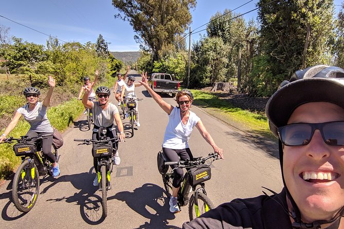 Sonoma Valley Pedal Assist Bike Tour - Group Size and Transportation