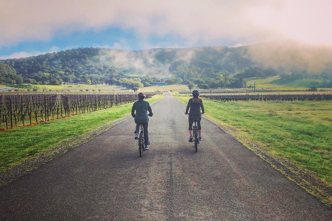 Sonoma Valley Pedal Assist Bike Tour With Lunch - Highlights and Stops