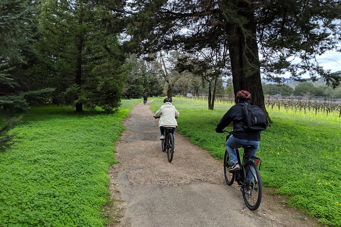 Sonoma Valley Pedal Assist Bike Tour With Lunch - Inclusions