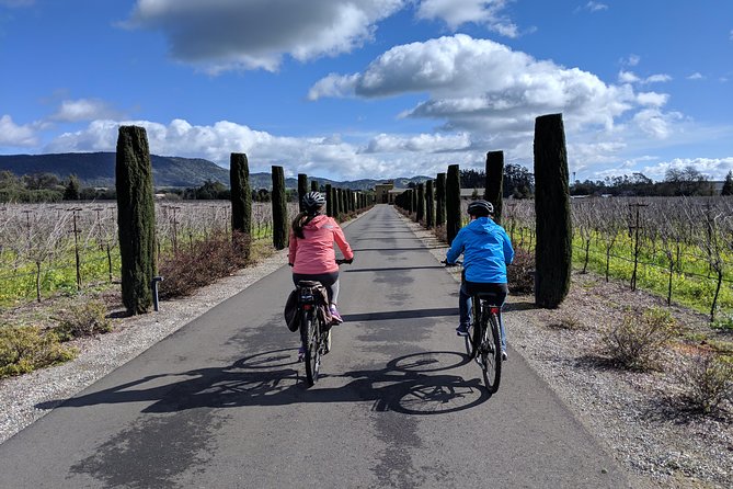 Sonoma Valley Pedal Assist Bike Tour With Lunch - Bike Tour Description