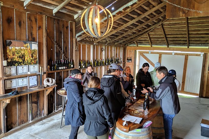 Sonoma Valley Pedal Assist Bike Tour With Lunch - Winery Visits