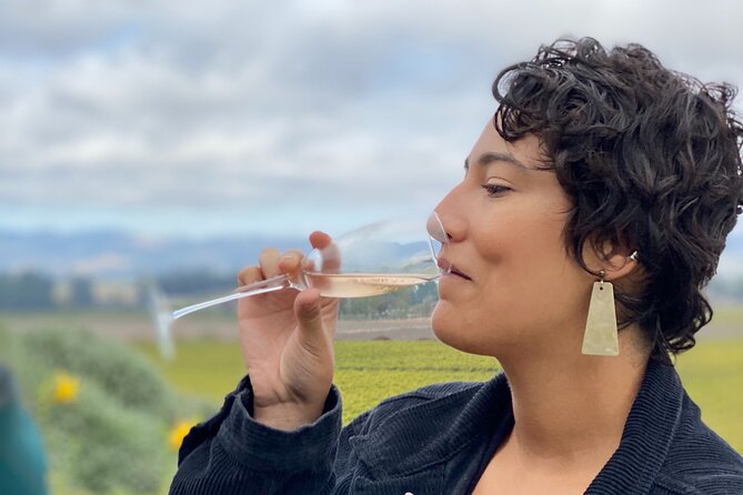 Sonoma Valley Sidecar Wine Tours - Highlights of the Gourmet Picnic