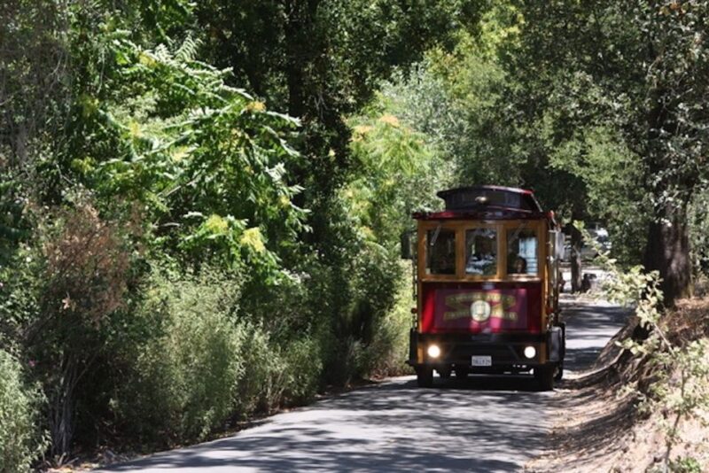 Sonoma Valley: Wine Trolley Tasting Tour With Lunch - Participant Information