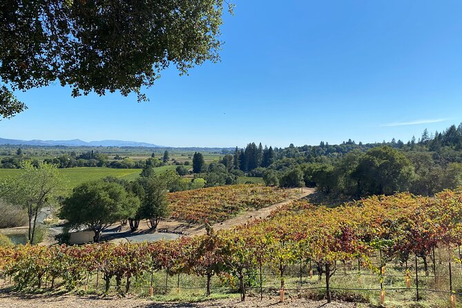 Sonoma Wine Rides: Sonoma County Join-In Group Wine Tasting Tours - Small-Group Experience