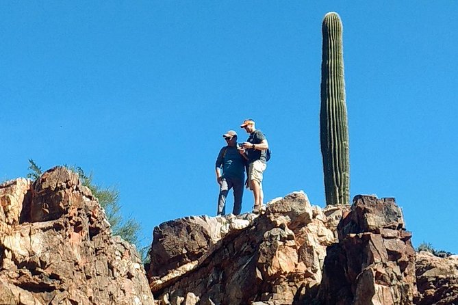 Sonoran Desert 1/2 Private Group Day Hike Casual to Challenging - Key Points
