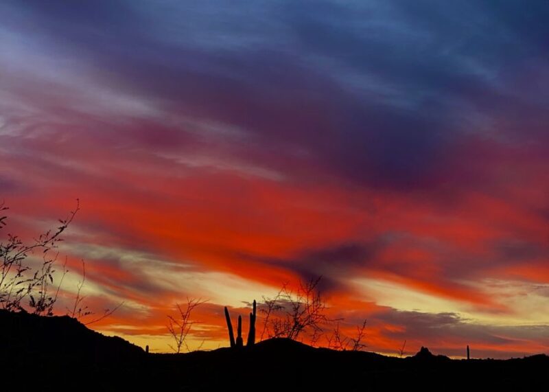 Sonoran Desert Guided Hiking Adventure in Phoenix, Arizona - Key Points