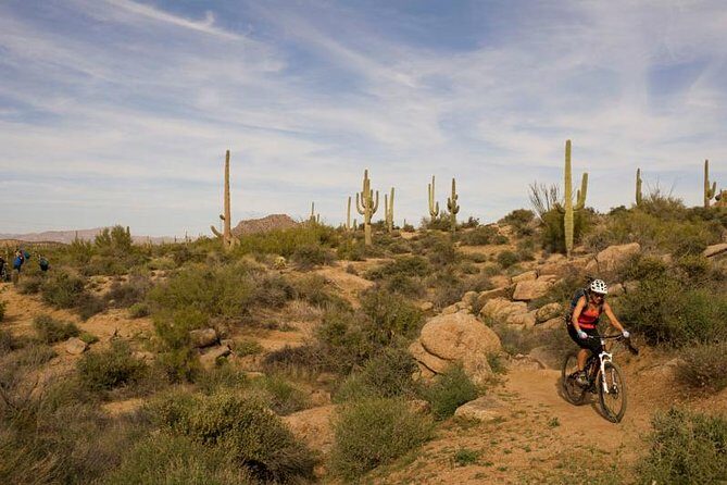 Sonoran Desert Guided Mountain Bike Tour - An Authentic Desert Adventure