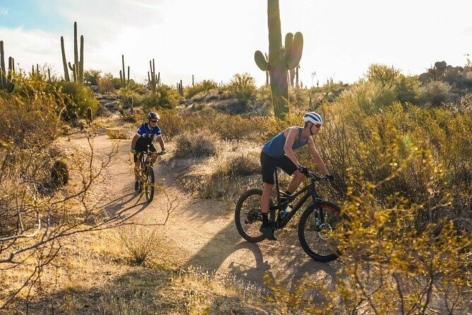 Sonoran Desert Guided Mountain Bike Tour - What’s Included and What’s Not
