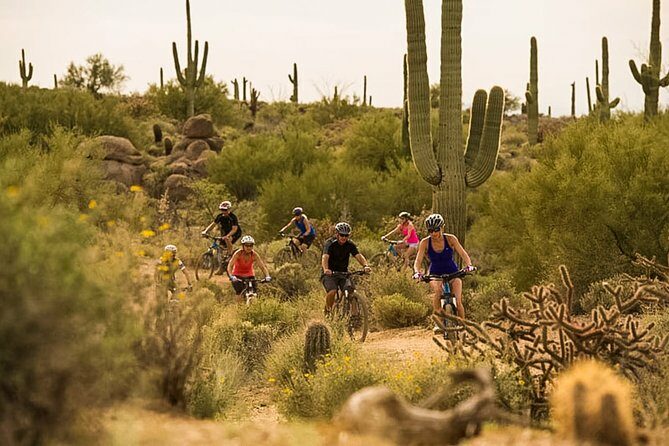 Sonoran Desert Guided Mountain Bike Tour - Practical Tips for Participants