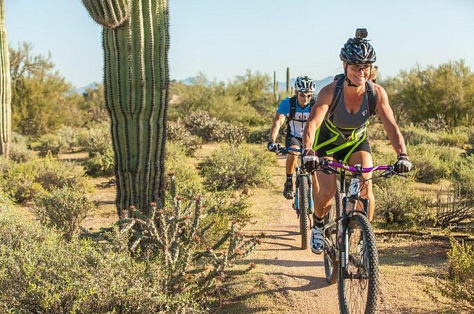 Sonoran Desert Guided Mountain Bike Tour - Is This Tour Worth It?