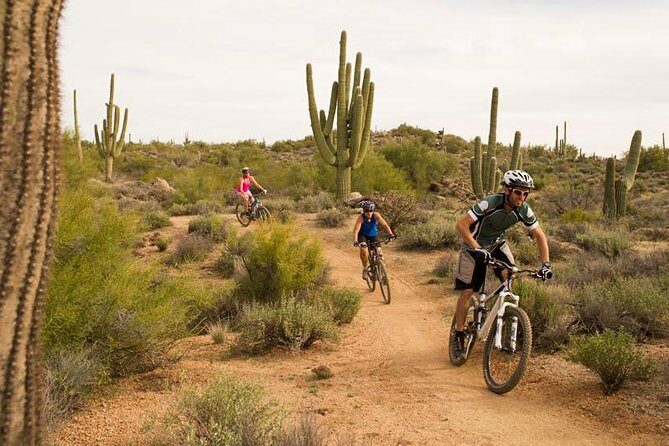 Sonoran Desert Guided Mountain Bike Tour - Final Thoughts
