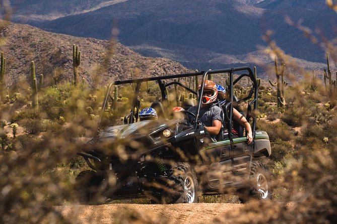 Sonoran Desert Guided UTV Adventure - Family-Friendly Adventure