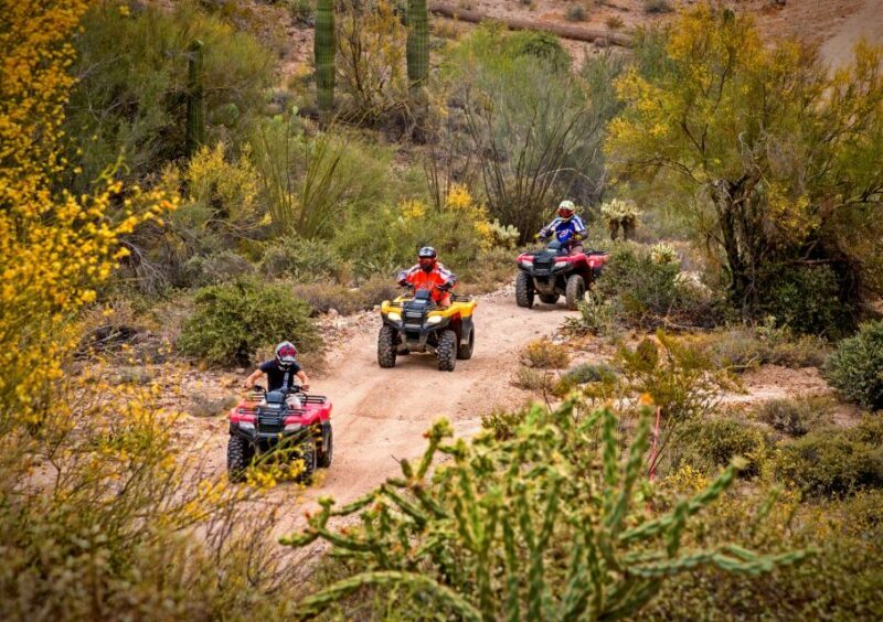 Sonoran Desert: Guided UTV or ATV Desert Tour - Diving Into the Desert: What the Tour Entails