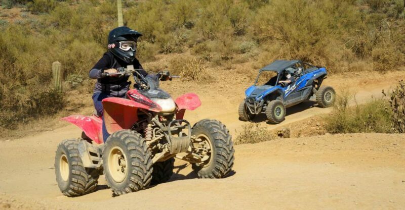 Sonoran Desert: Guided UTV or ATV Desert Tour - The Experience From the Traveler’s Perspective