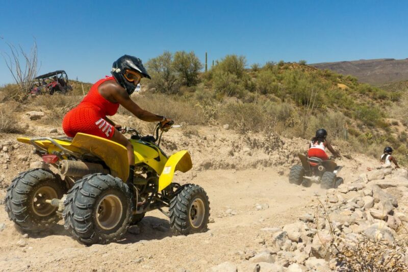 Sonoran Desert: Guided UTV or ATV Desert Tour - Who Will Love This Tour?