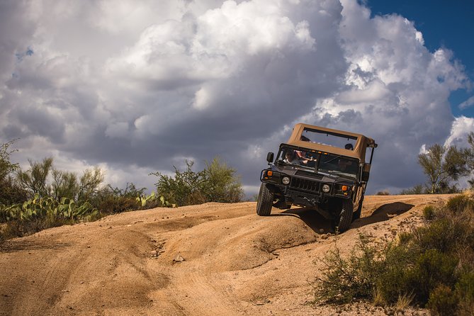 Sonoran Desert H1 Hummer Adventure - Native Flora and Fauna