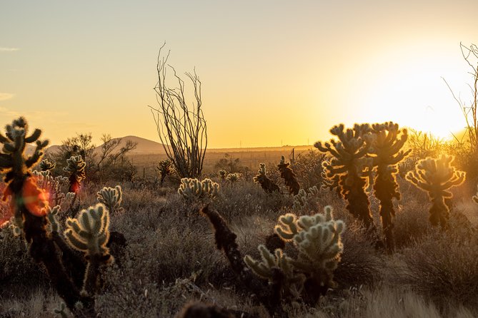 Sonoran Desert Jeep Tour at Sunset - Meeting and Pickup