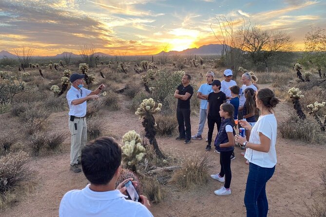 Sonoran Desert Jeep Tour at Sunset - Additional Info