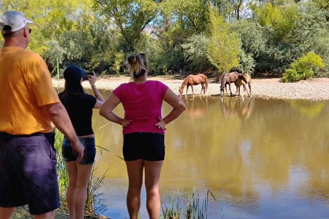 Sonoran Desert Jeep Tour - Overall Summary