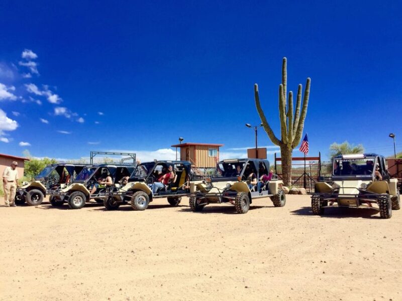 Sonoran Desert Off-Road Tours in Tomcars - Natural Diversity of the Sonoran Desert
