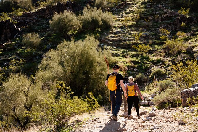 Sonoran Desert Solo Half Day Hike at Customizable Pace - Health and Safety