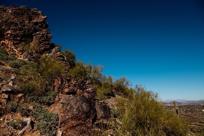 Sonoran Desert Solo Half Day Hike at Customizable Pace - Review Highlights