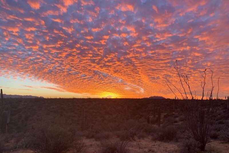 Sonoran Desert: Sunset Jeep Tour With Tonto National Forest - Important Information