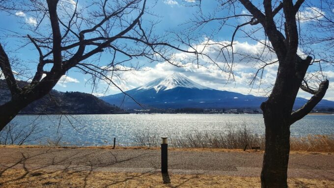 Sooperdooper 1 Day Trip to Mt.Fuji With Pick & Drop Service - Fuji Subaru Line 5th Station