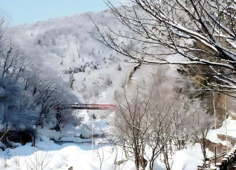 Sopporo: Hokkaido Shrine and Atama Daibutsu Full-Day Tour - Key Points
