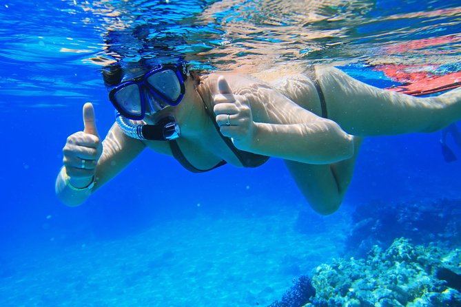 Sorkeling Trip to the White Island & Ras Mohammed - Physical Fitness Requirement
