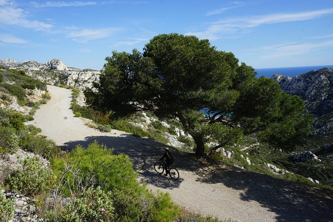 Sormiou Calanques National Park Electric Bike Tour From Marseille - Exploring the Calanques