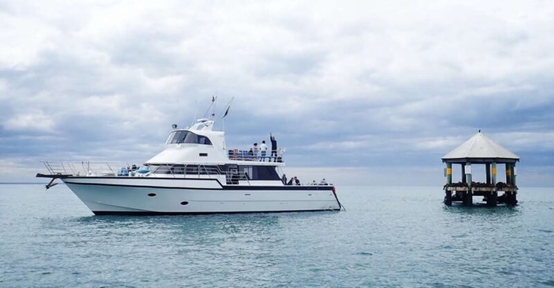 Sorrento: 1.5-Hour Port Phillip Bay Adventure Cruise - Experience Highlights