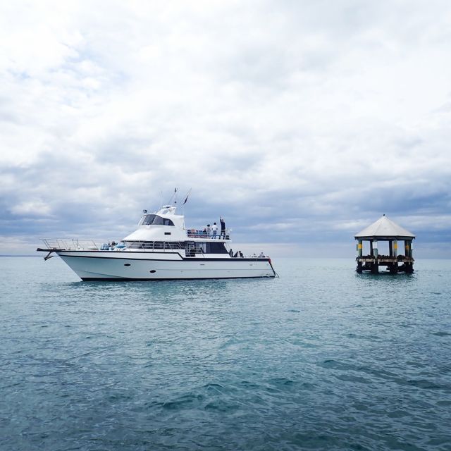 Sorrento: 1.5-Hour Port Phillip Bay Adventure Cruise - Tour Details