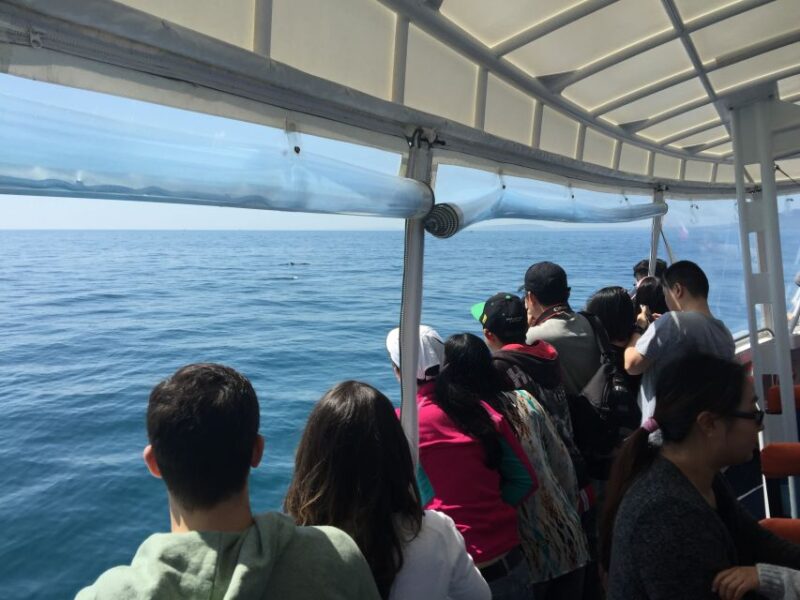 Sorrento: 1.5-Hour Port Phillip Bay Adventure Cruise - Customer Feedback