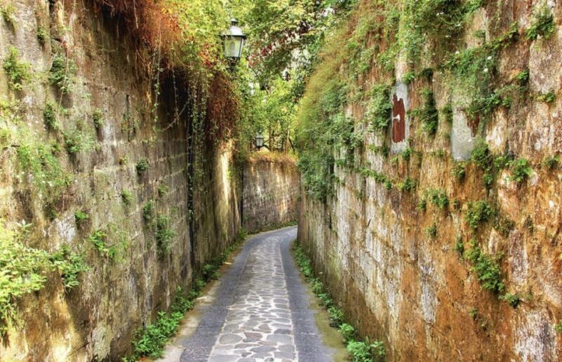 Sorrento: Advanced Mount Faito Cycling Tour - Key Points