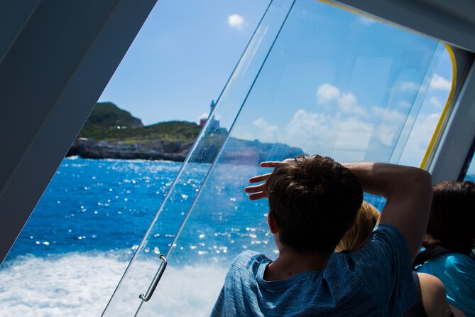 Sorrento - Capri Minicruise Daily Ticket - Reviews and Feedback