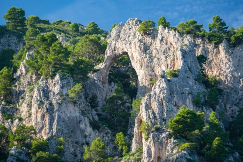 Sorrento: Capri White Grotto & Blue Grotto Private Boat Trip - Itinerary Highlights