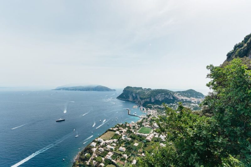 Sorrento: Coast and Capri Boat Trip With Blue Grotto Option - Customer Reviews and Ratings
