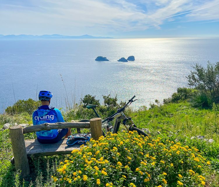 Sorrento: E-Bike Oil & Lemon Tour With Tasting - Tour Overview and Pricing