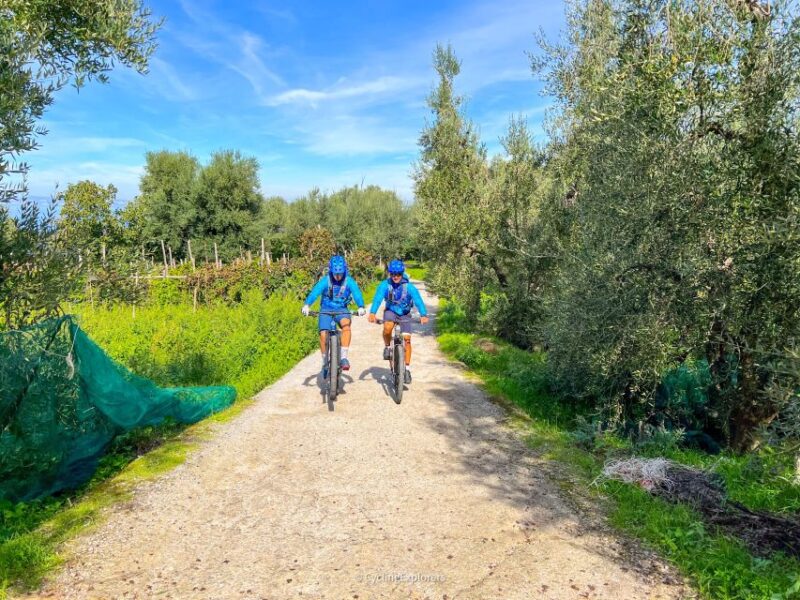 Sorrento: E-Bike Oil & Lemon Tour With Tasting - Included Features
