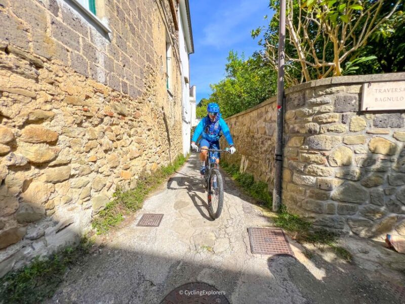 Sorrento: E-Bike Oil & Lemon Tour With Tasting - Bike Tour and Tasting